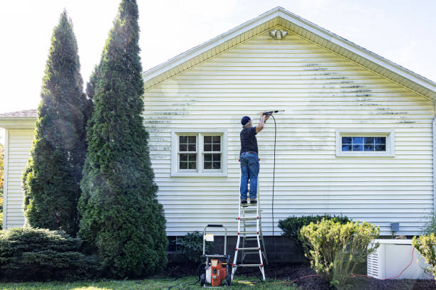 Best House Pressure Washing  in Somerville, TX