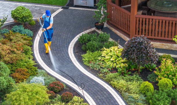 Best Roof Power Washing Services  in Somerville, TX